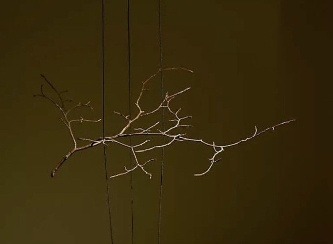 [서울=뉴스핌]이영란 미술전문기자=다니엘 스티그만 만그라네, '기하학적 자연'. 사진 김상태 © 에르메스 재단 제공 2025.12.27 art29@newspim.com