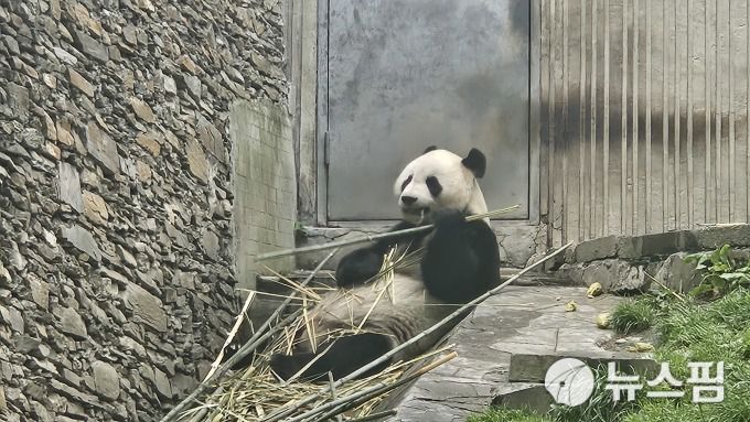 [서울=뉴스핌] 최헌규 중국전문기자= 2026.01.21 chk@newspim.com