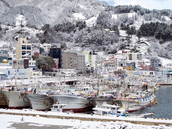 폭설에 묻힌 울릉도 저동항.[사진=울릉군] 2026.01.21 nulcheon@newspim.com