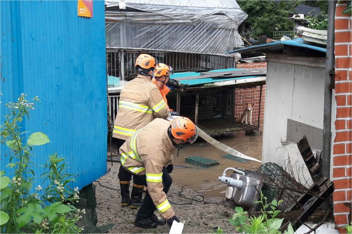 29일 광주 북부소방서 대원들이 광주 북구 매곡동의 한 농장에서 물을 퍼내고 있다.(사진=광주 북부소방서 제공)