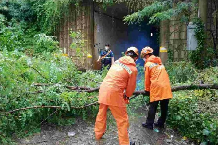 광주에 호우특보가 내려진 29일 광주시 북구 연제동에서 광주 북부소방서 대원들이 쓰러진 나무를 제거하고 있다.(사진=광주 북부소방서 제공)