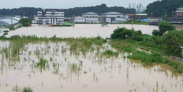 지난 7일부터 내린 기록적인 폭우로 광주전남지역 침수 피해가 잇따랐다.(사진=독자 제공)