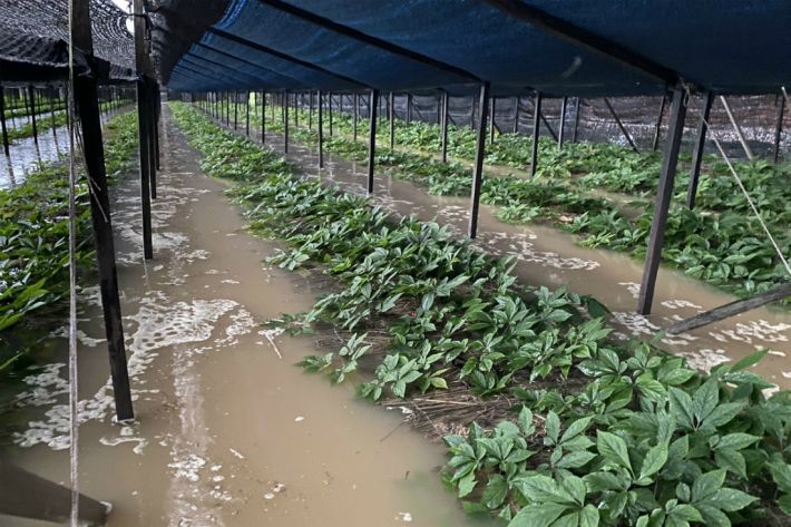 용담댐 방류로 침수 피해를 입은 충남 금산군 부리면 평촌리(사진=금산군 제공)