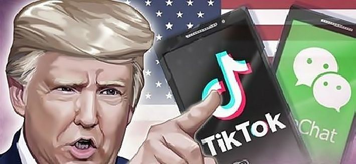 (그래픽=연합뉴스)