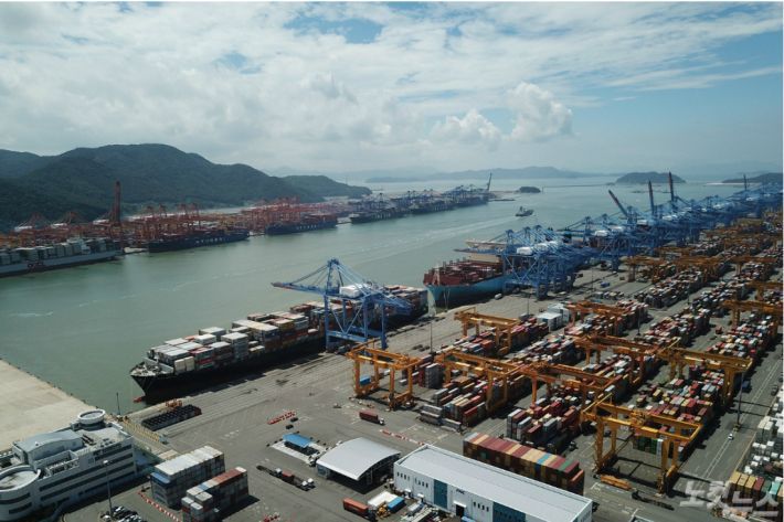 제8호 태풍 '바비(BAVI)가 북상함에 따라 부산항 선박은 25일 밤 24시까지 모두 대피해야 한다. 사진은 부산항 신항 전경(사진=자료사진)