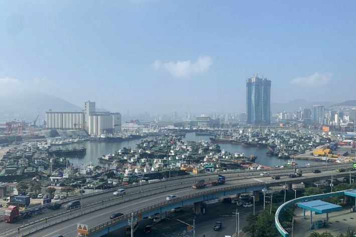 제8호 태풍 '바비(BAVI)'가 북상 중인 25일 오후 부산 동구 부산항 5부두에 선박들이 태풍을 피해 줄지어 정박해있다.(사진=남해해경청 제공)