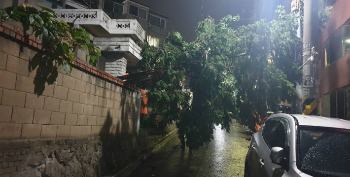 (사진=연합뉴스)