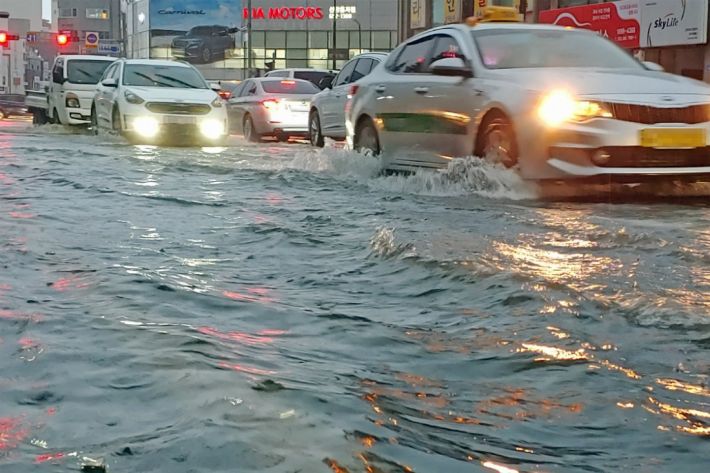 2일 오후 태풍 '마이삭'의 북상으로 많은 비가 내리면서 강원 강릉시내 차량들이 침수된 도로에서 서행하고 있다. (사진=연합뉴스)