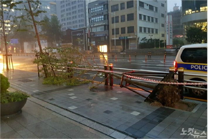 제10호 태풍 하이선이 북상 중인 7일 오전 5시 5분쯤 부산 부산진구 한 도로에 가로수가 쓰러져있다. (사진=부산경찰청 제공)