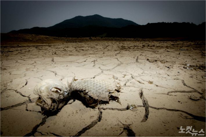 가뭄에 갈라진 땅 (자료사진=노컷뉴스)