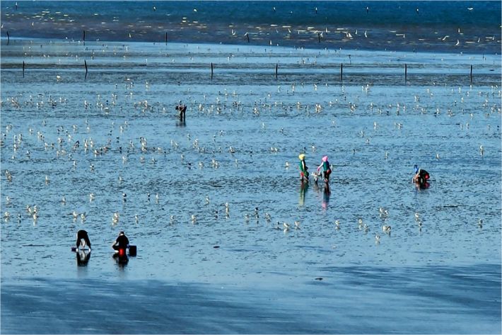 새만금 방조제 인근의 갯벌 풍경. (사진=최병성 목사 제공)