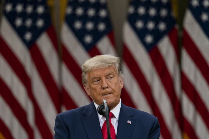 도널드 트럼프 미국 대통령 (사진=연합뉴스)