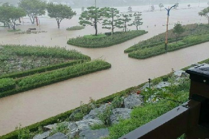 태풍으로 침수된 삼척 장미공원 일대(사진=삼척시청 제공)