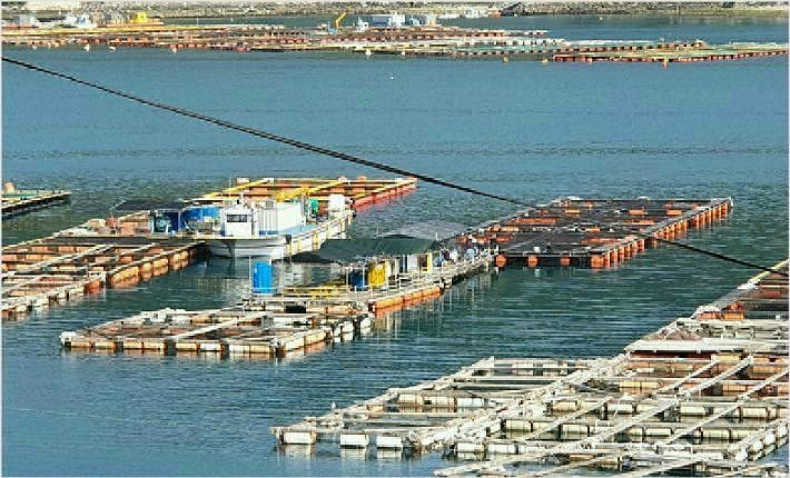 통영 한 가두리양식장. (사진=통영해경 제공/자료사진)