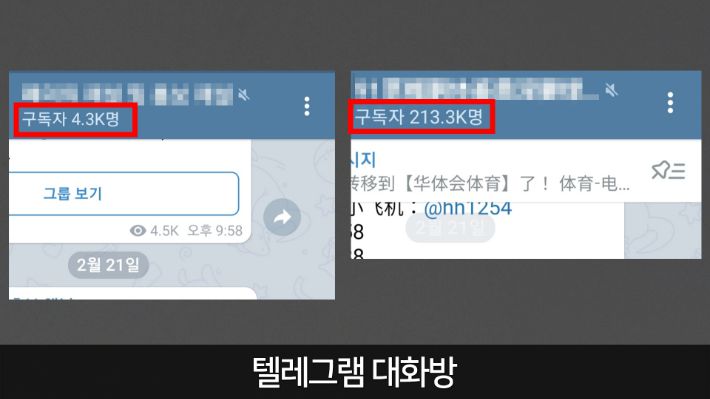 추적단 불꽃 제공