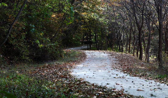 선산뒷골 명상의 길. 구미시 제공