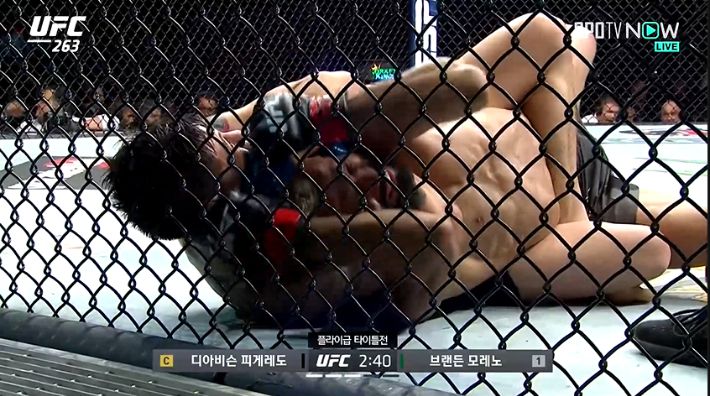 리어네이키드 초크로 승리를 따낸 브랜든 모레노(왼쪽). SPOTV NOW 제공