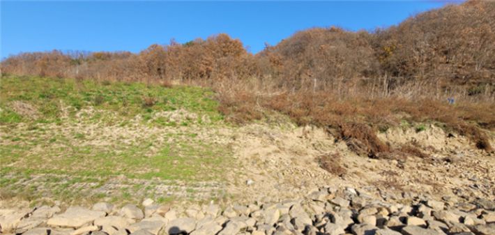 임진강에 바이오폴리머를 적용해 제방을 축조한 곳과 바로옆에 기존 제방의 모습 비교. 바이오폴리머 제방에서 식물이 잘 자라고 있다. 건설기술연구원 제공