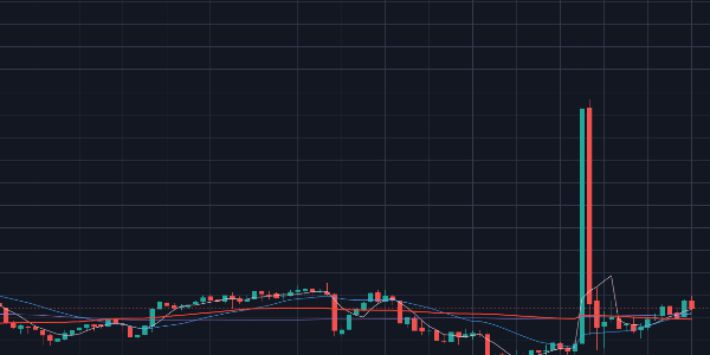 롤러코스터를 탄 라이트코인 가격 차트