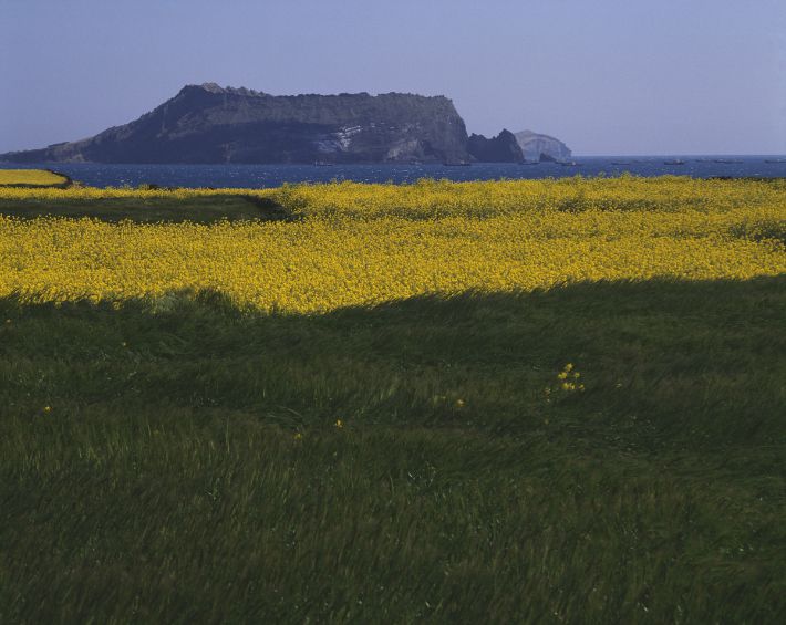 제주도. 스마트이미지 제공
