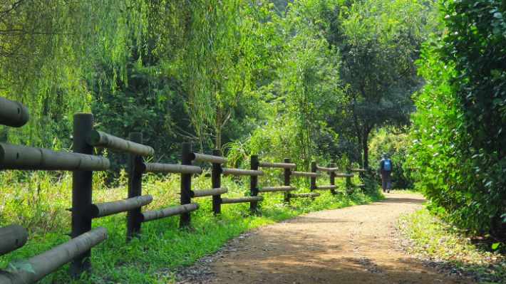 가을에 걷기 좋은 길. 김윤희 해설사 제공