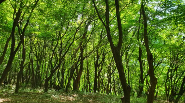 건지산길 2. 김윤희 해설사 제공