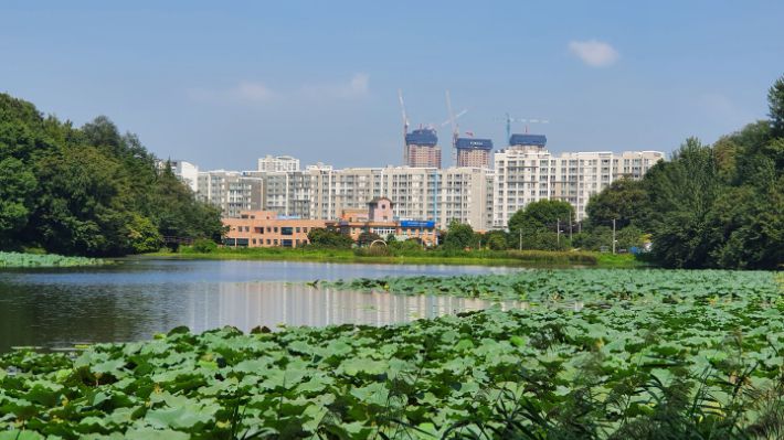 오송제. 김윤희 해설사 제공