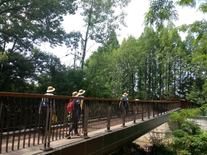 구름다리. 김윤희 해설사 제공