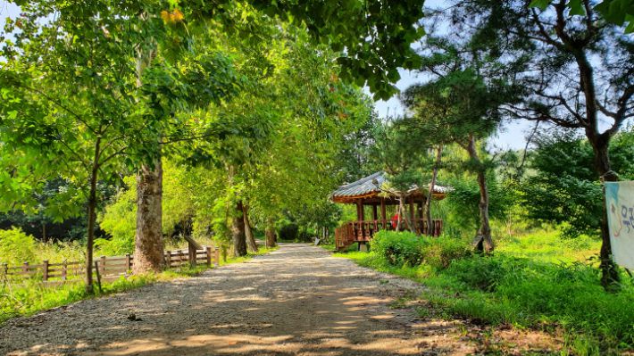 건지산길. 김윤희 해설사 제공