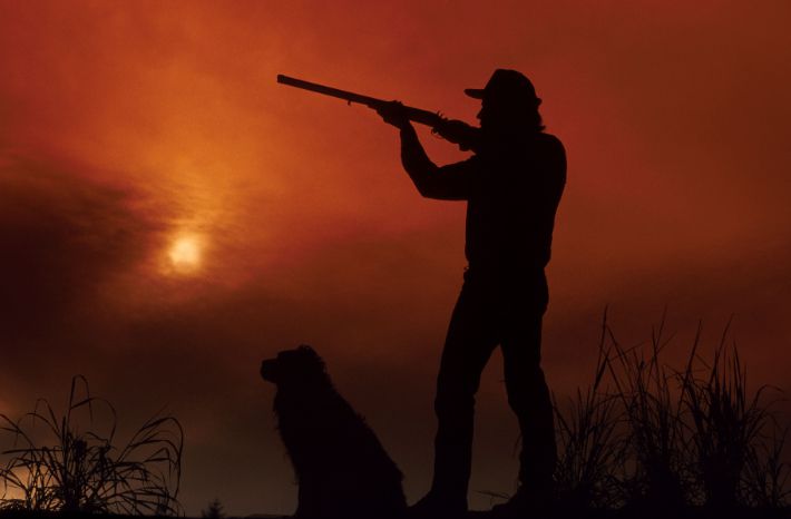 스마트이미지 제공