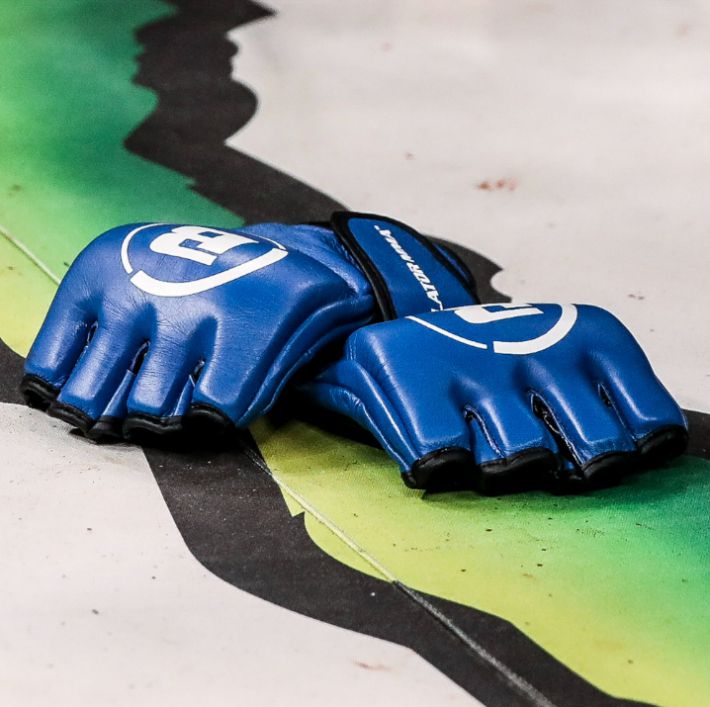 표도르 에밀리넨코가 벗어 놓은 글러브. 벨라토르 공식 트위터 캡처