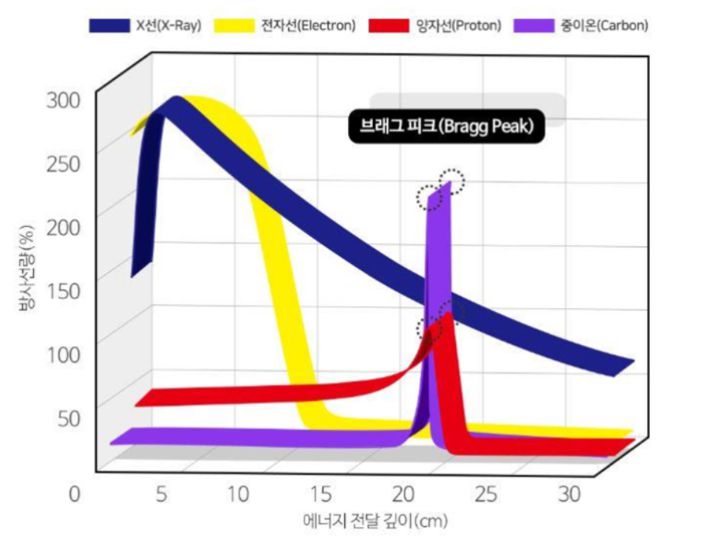 중입자 치료기는 '브래그피크(Bragg peak)' 원리를 이용한다. 식품의약품안전처 제공