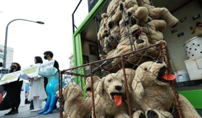 개 식용 반대 집회. 연합뉴스