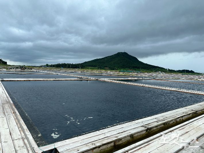 전남 영광군 염산면의 한 염전. 김한영 기자
