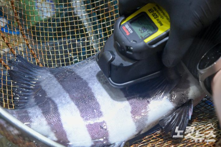 '방류로 인한 방사선이 사람과 환경에 미치는 영향도 무시할 정도'라는 내용이 담긴 최종 보고서를 일본 측에 전달했다. 박종민 기자