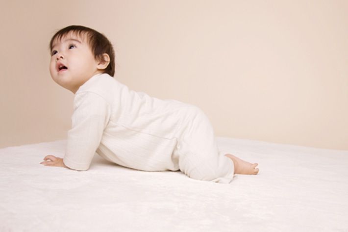 스마트이미지 제공