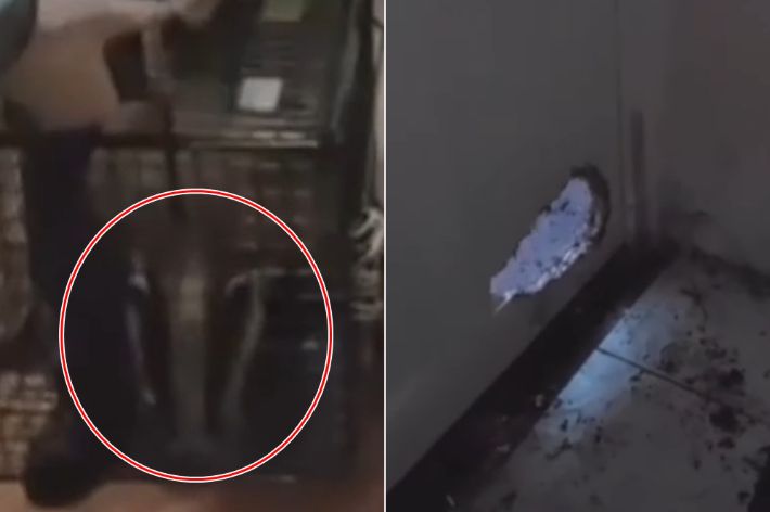 인디펜던트 유튜브 캡처