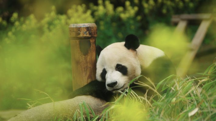 영화 '안녕, 할부지' 스틸컷. ㈜바른손이앤에이 제공