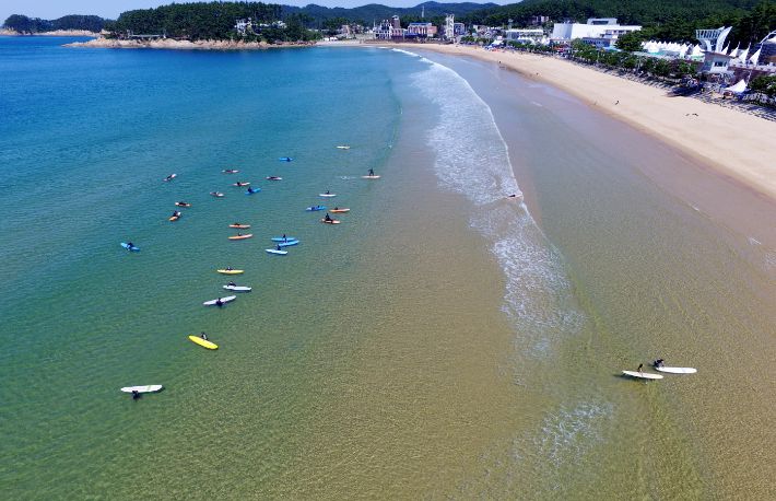 만리포해수욕장. 태안군 제공