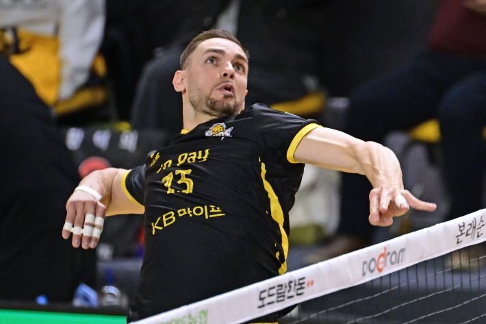 KB손해보험 비예나. 한국배구연맹