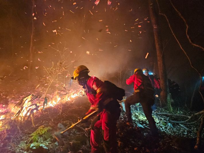 야간 산불 진화. 산림청 제공