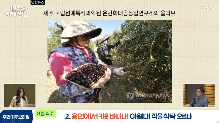 CBS 경제연구실 유튜브 캡처