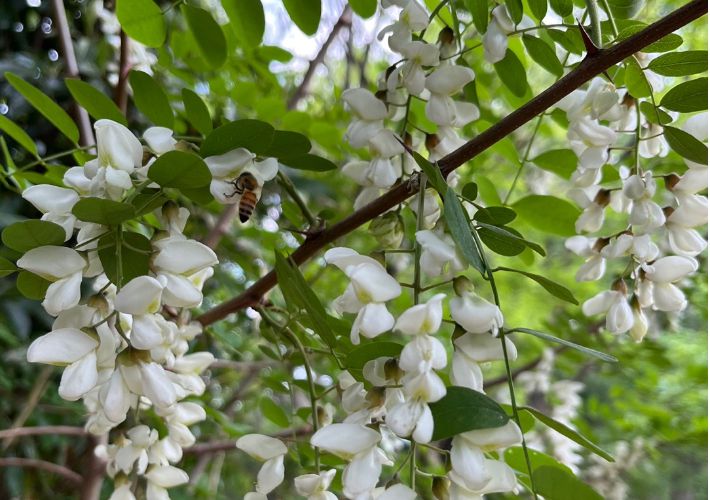 조중의 포항대학교 초빙교수·전직 언론인 제공
