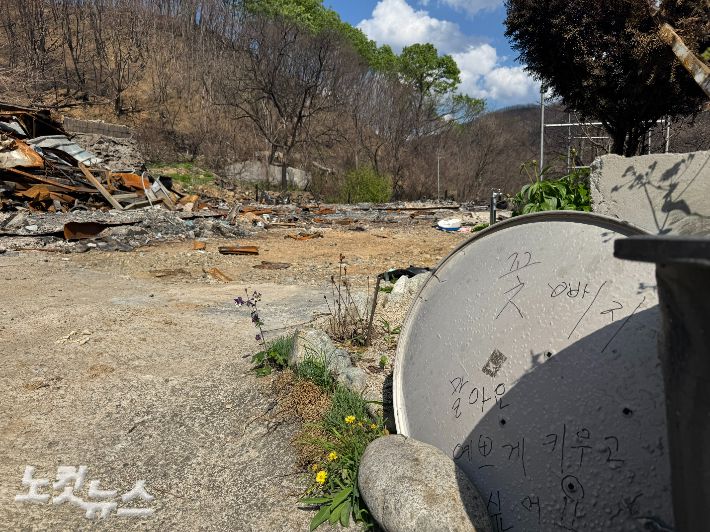 폐허가 된 경북 안동시 남선면 도로리의 마을. 이우섭 기자