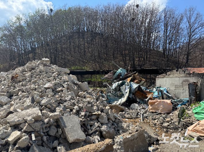 도로리 마을회관 인근, 산불로 전소된 주택 철거 작업이 진행 중이다. 김조휘 기자
