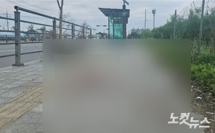 임성민 기자
