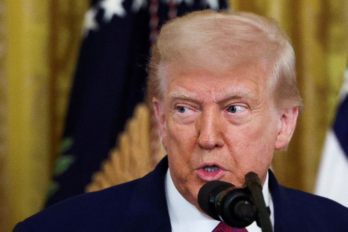 도널드 트럼프 미국 대통령. 연합뉴스