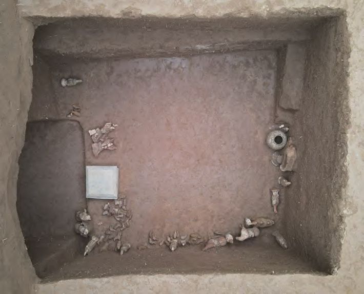 김영관 교수 제공