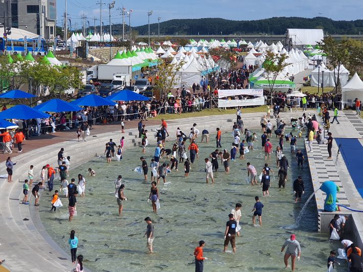 양양 송이·연어 축제 전경. 양양군 제공