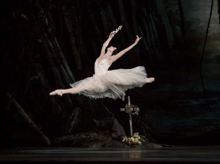 영국 로열 발레 수석 무용수 나탈리아 오시포바가 '지젤'을 연기하는 모습. LG아트센터 제공